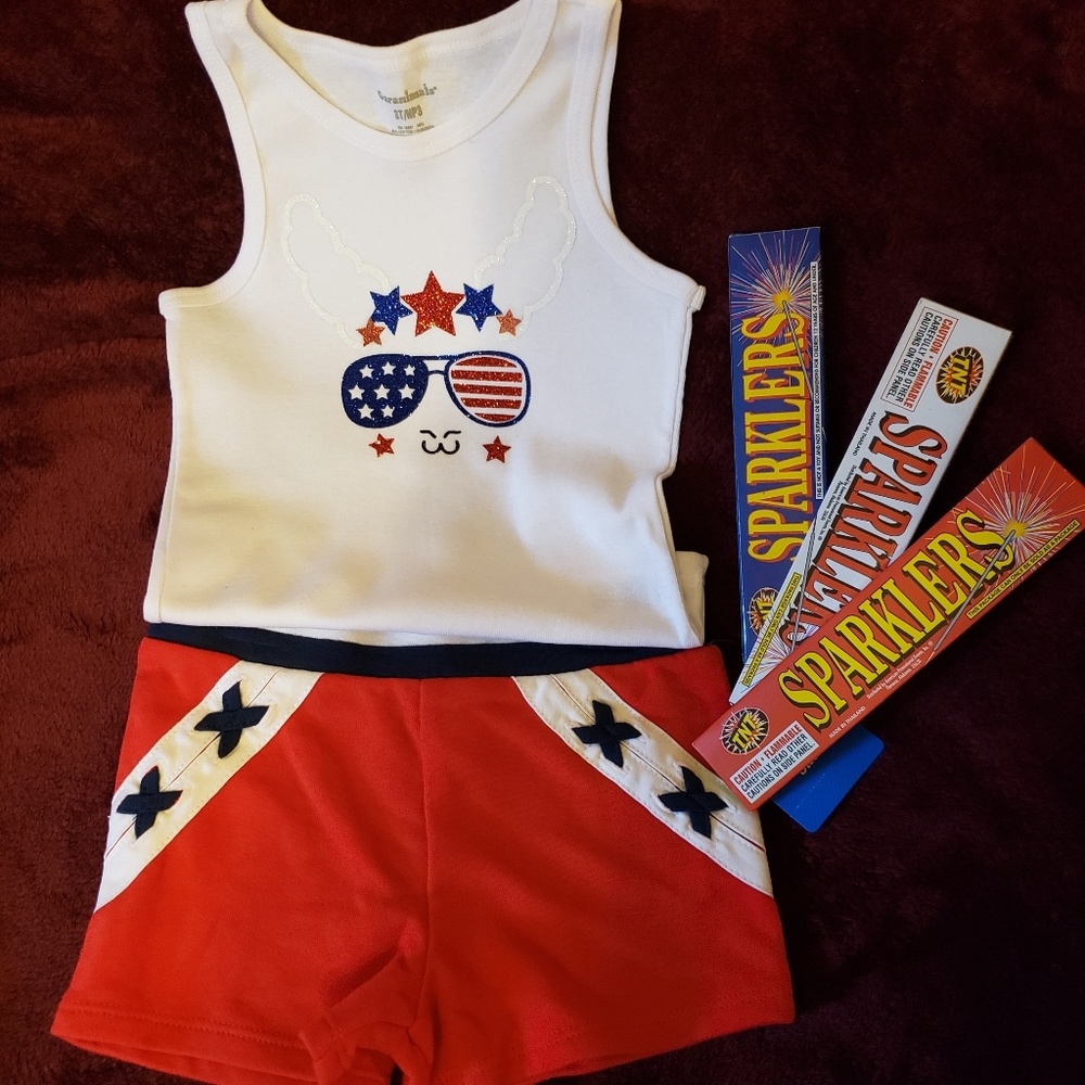 Girls 3T Outfit